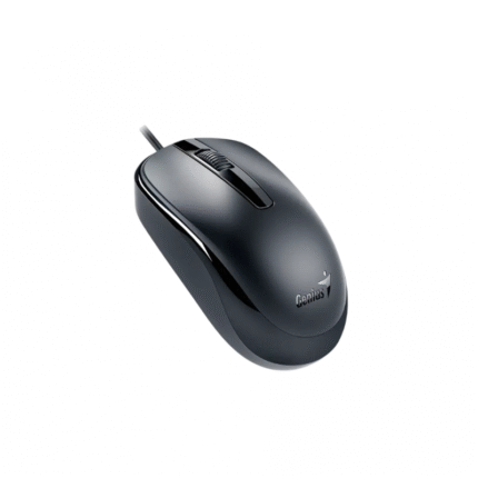 MOUSE GENIUS DX-120 BLACK USB-C