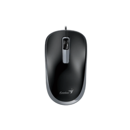 Mouse Genius DX-125S Negro y gris